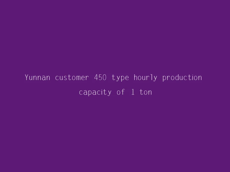 Yunnan customer 450 type hourly production capacity of 1 ton